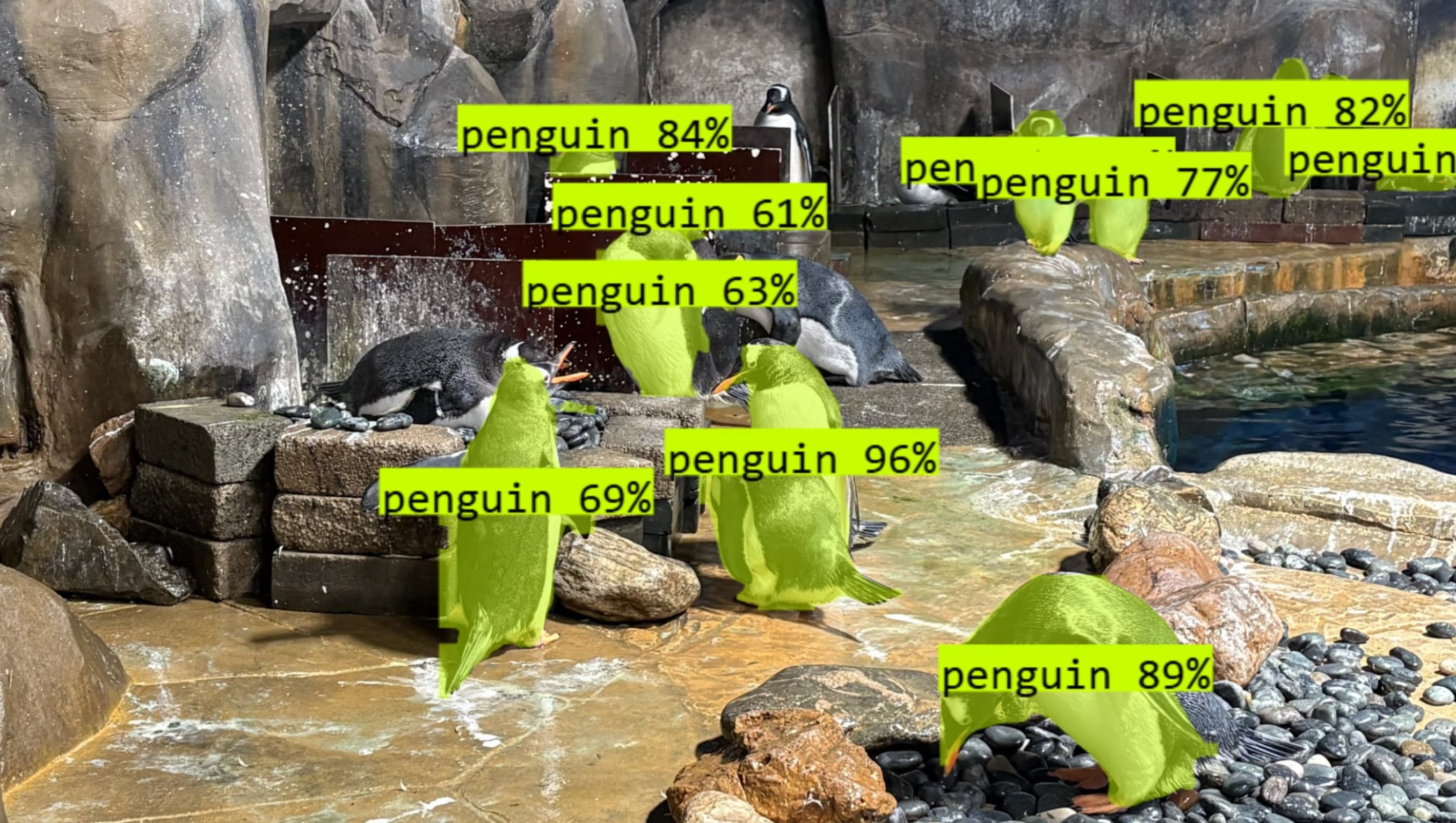 Computer-vision overlay detecting individual penguins in the colony